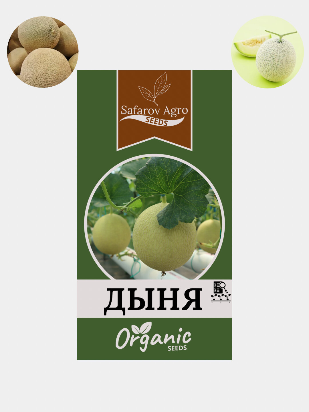 Дыня – это не только вкусный и ароматный фрукт, но и источник множества полезных веществ. Она