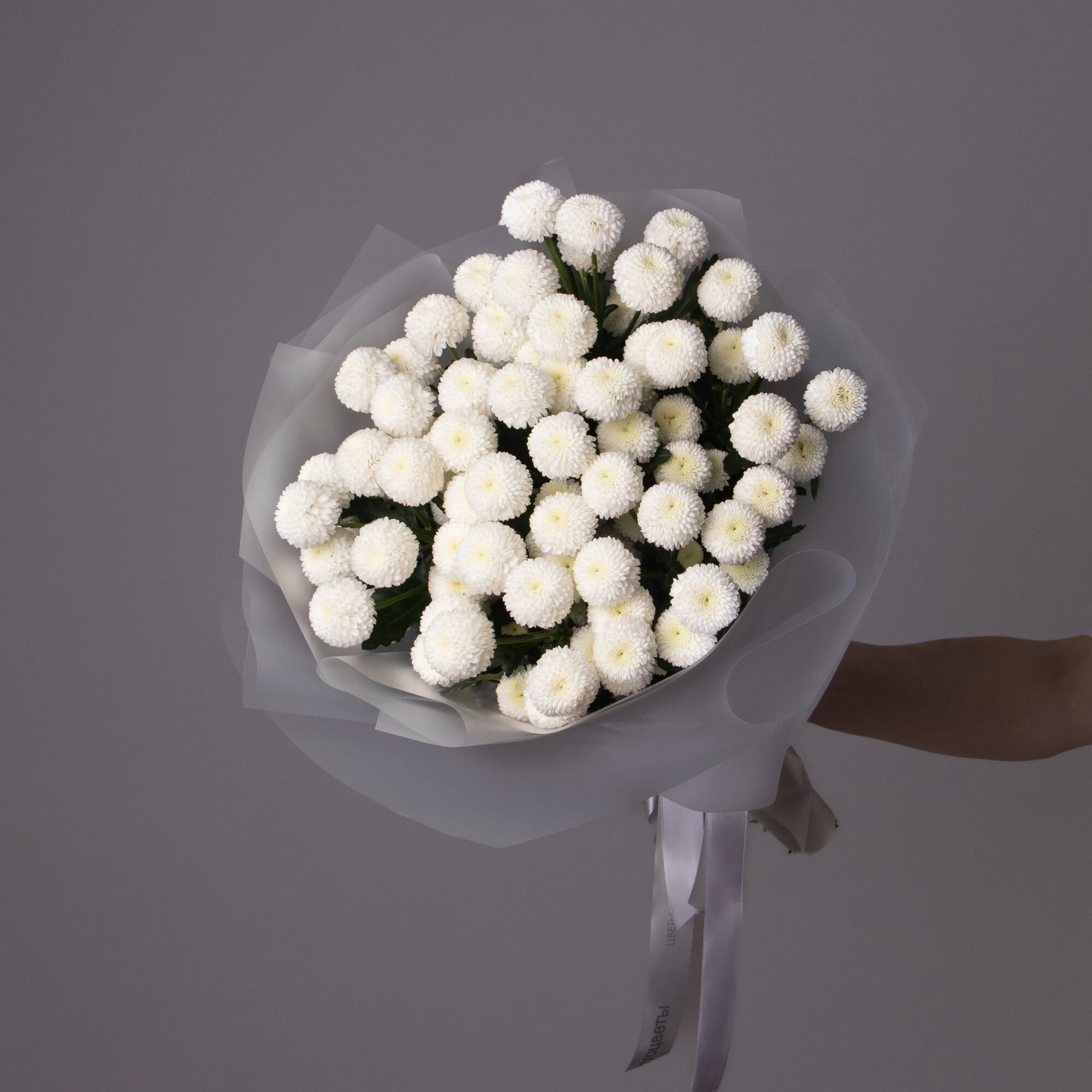 Букет Хризантема кустовая "Ньютон" 7 шт Высота 85 см в коробке и аквабоксе от "Простоцветы"