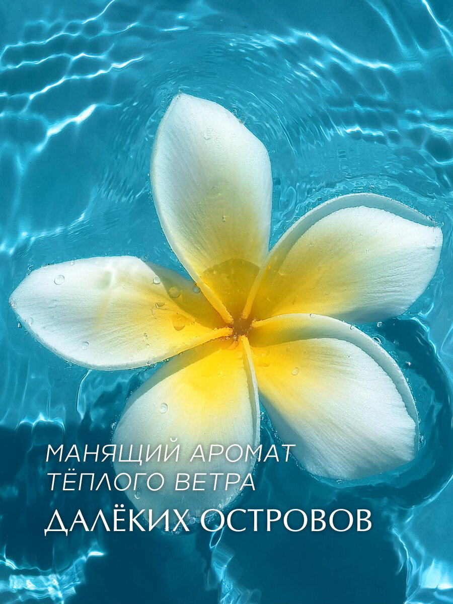 Крем-баттер Mozart House "Seychelles", для рук, тела, с маслами, 30 г — фото 1