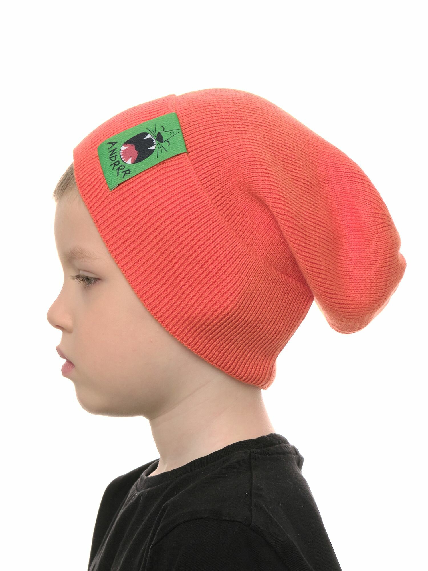 Шапка-бини Андерсен Весна-лето 2024 для мальчиков