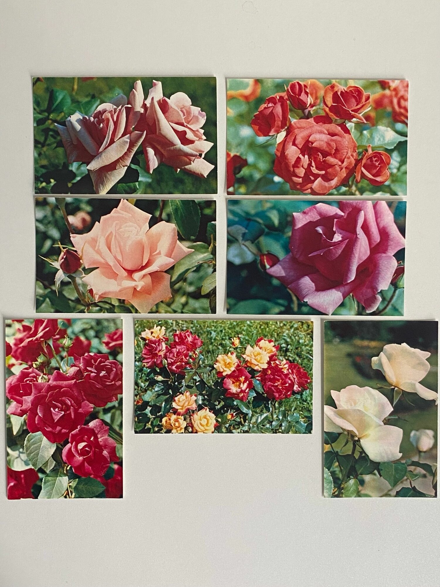 Набор винтажных открыток "Цветы". СССР. 7 шт. Размеры: 14х9 см.