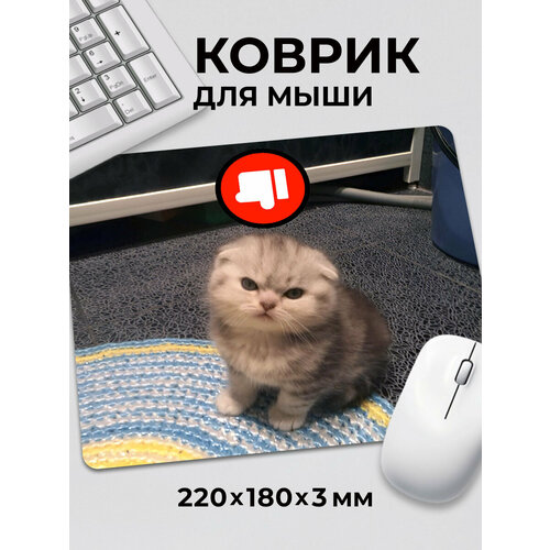 Коврик для мышки с приколом мем Котик дизлайк бравл старс