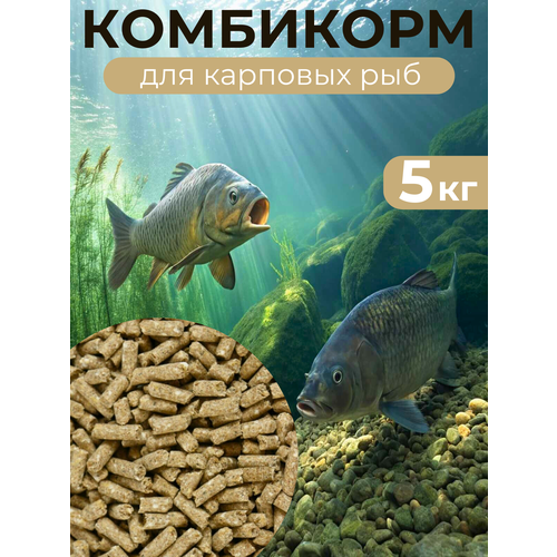 Корм сухой для Карповых Рыб комбикорм КК-111 (5кг./м.)