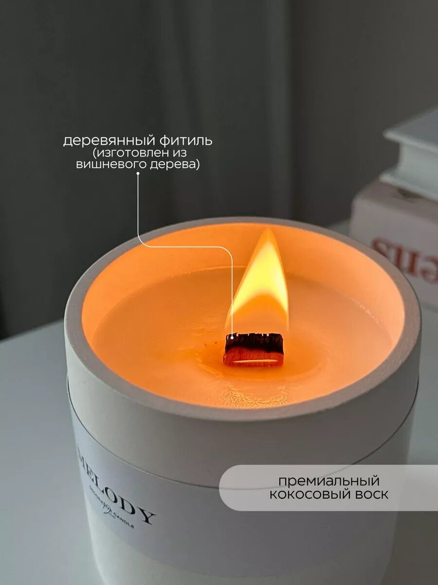 Свеча в гипсе ароматическая с деревянным фитилем, кокосовый воск, Melody - клюква просекко — фото 1
