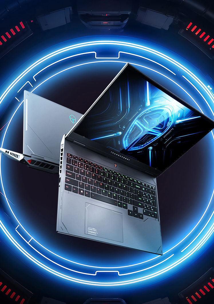 Игровой ноутбук ThundeRobot Hunting Blade S, Ryzen 9 7945HX, RTX 5070 Ti, RAM 32ГБ, SSD 1+1ТБ, Русская гравировка Cерый