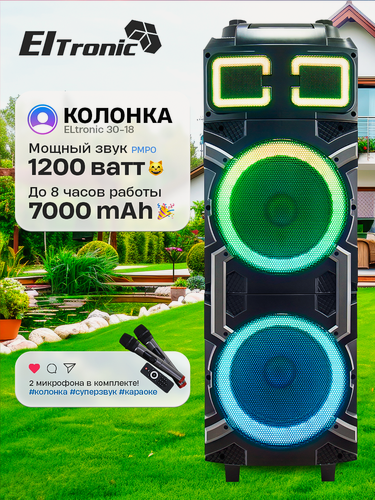 Изображение товара Колонка беспроводная ELtronic 30-18 с 2мя микрофонами, FM-радио и функцией TWS