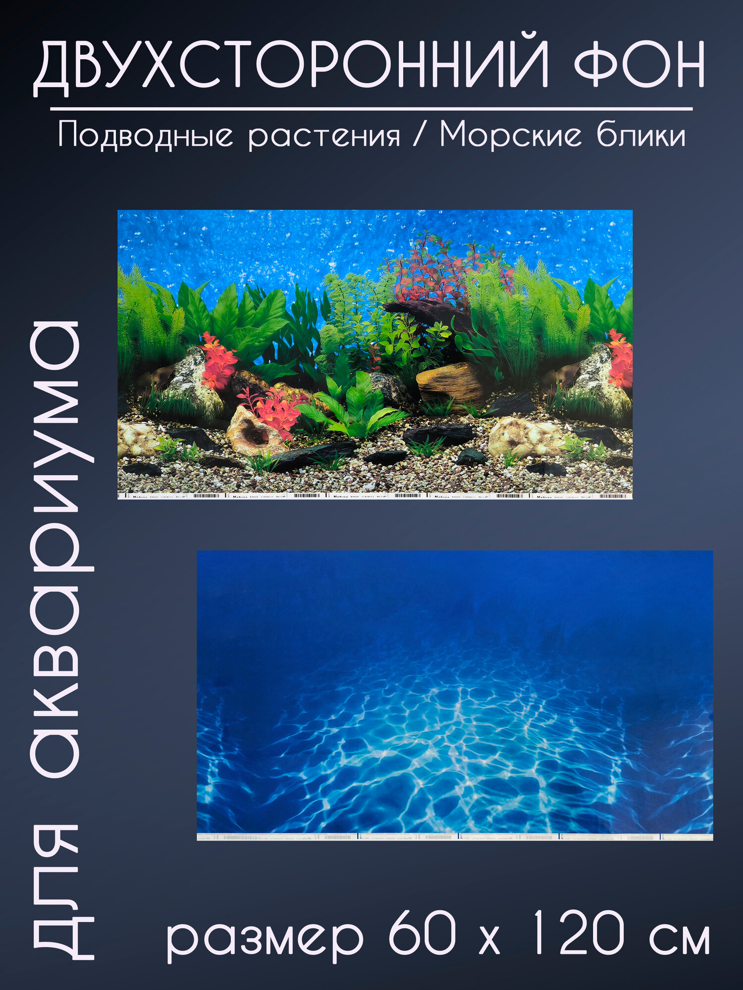 Фон для аквариума и террариума высота 60 см длина 120 см двухсторонний "Подводные растения / Морские блики"