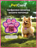 Адресник PetCard для собак и кошек с QR кодом и NFC, розовый.