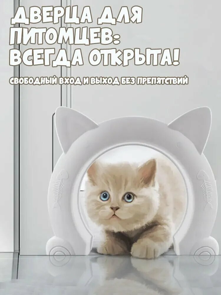 Дверь для домашних животных двусторонняя дверь для бесплатного входа и выхода кошки и щенки входят и выходят белый
