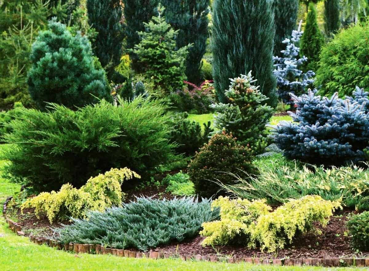 Кислый торф Торфуша, улучшение структуры почвы, для растений, 5л — фото 1