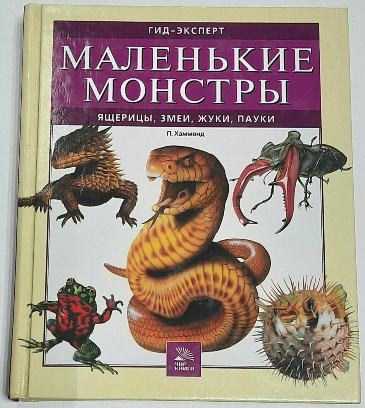 Маленькие монстры: ящерицы, змеи, жуки, пауки