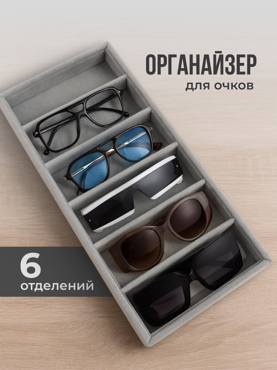 Органайзер для очков и хранения вещей Birdhouse 6 отделений