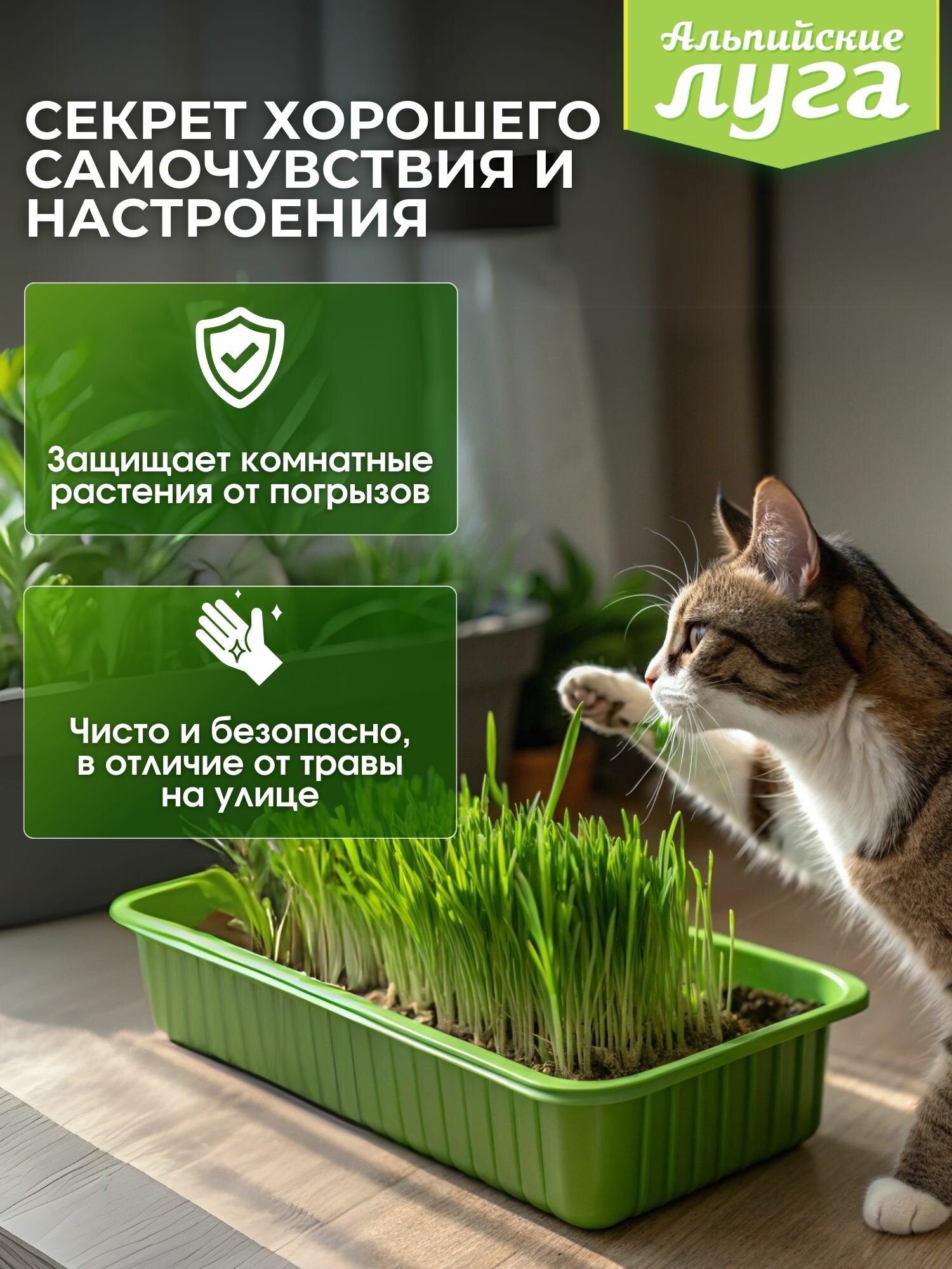 Травка для питомцев Альпийские луга 7 трав 100 г — фото 1