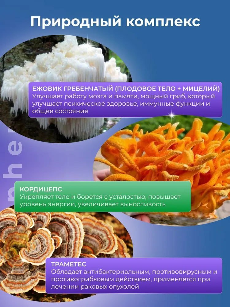 Иммунный микс из грибов Ежовик гребенчатый, кордицепс. чага, рейши, траметес — фото 1