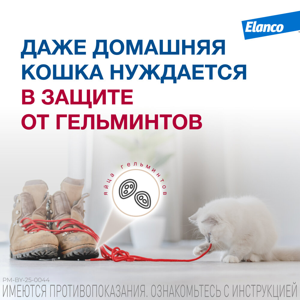 Мильбемакс (Elanco), таблетки от гельминтов со вкусом говядины для крупных кошек – 2 таблетки — фото 1