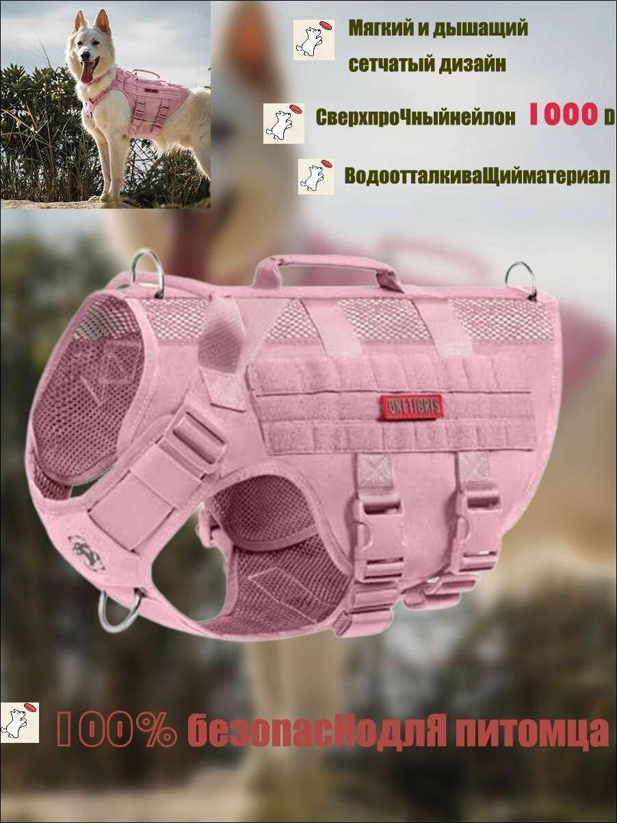 Шлейка