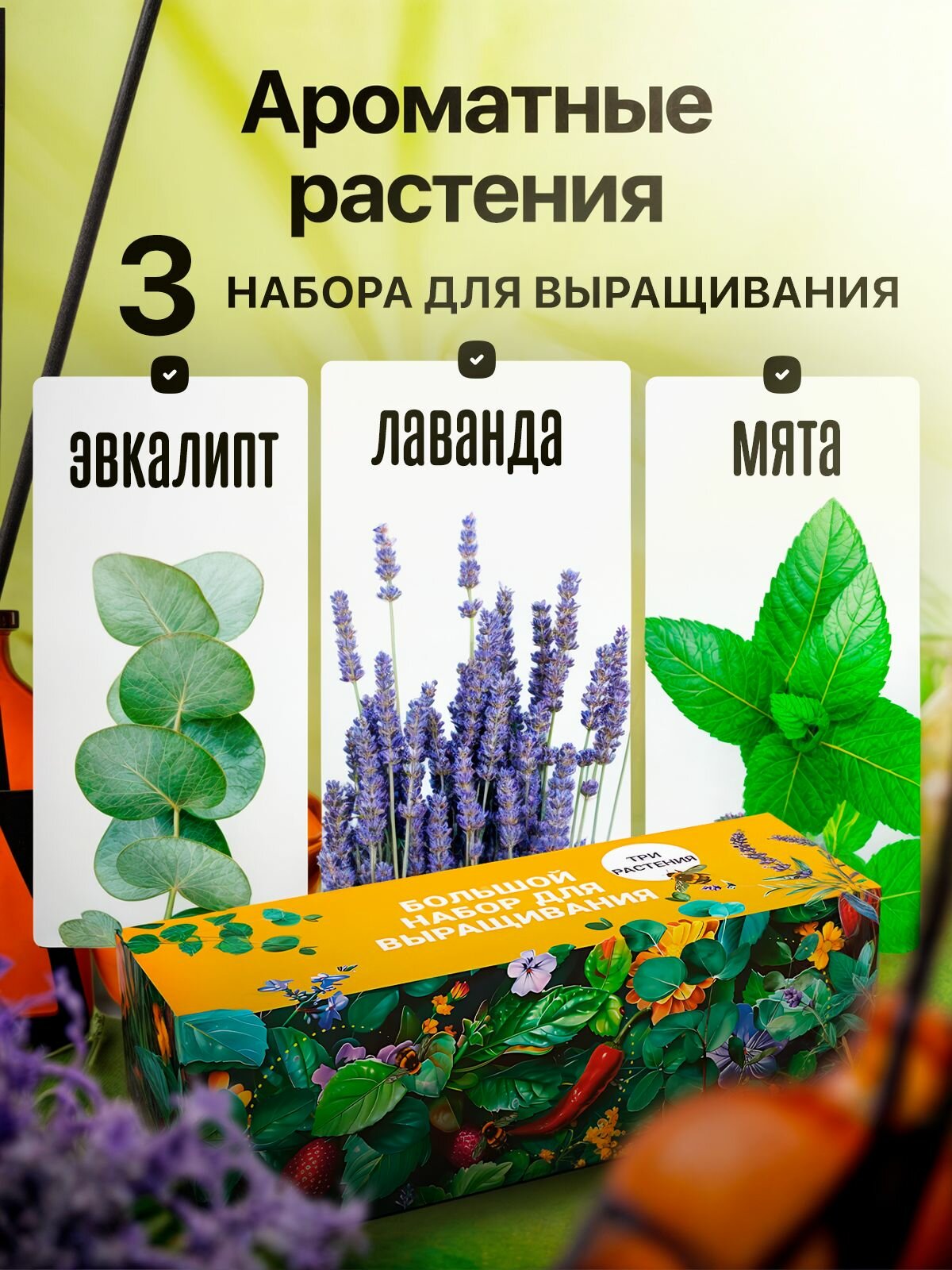 Набор для выращивания растений Эвкалипт Мята Лаванда