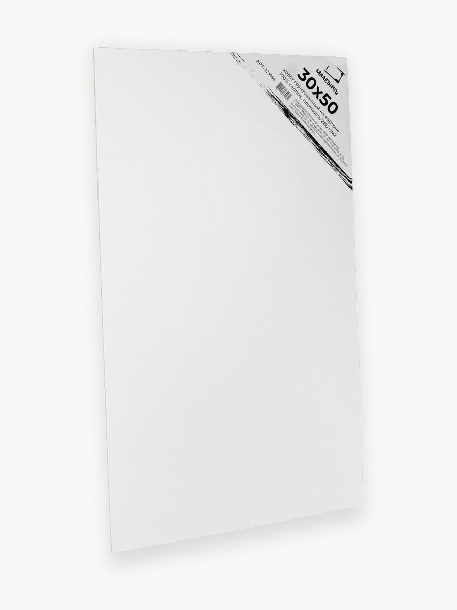 Набор холстов на картоне Малевичъ, 30x50 см, 2 шт, белые, мелкое зерно