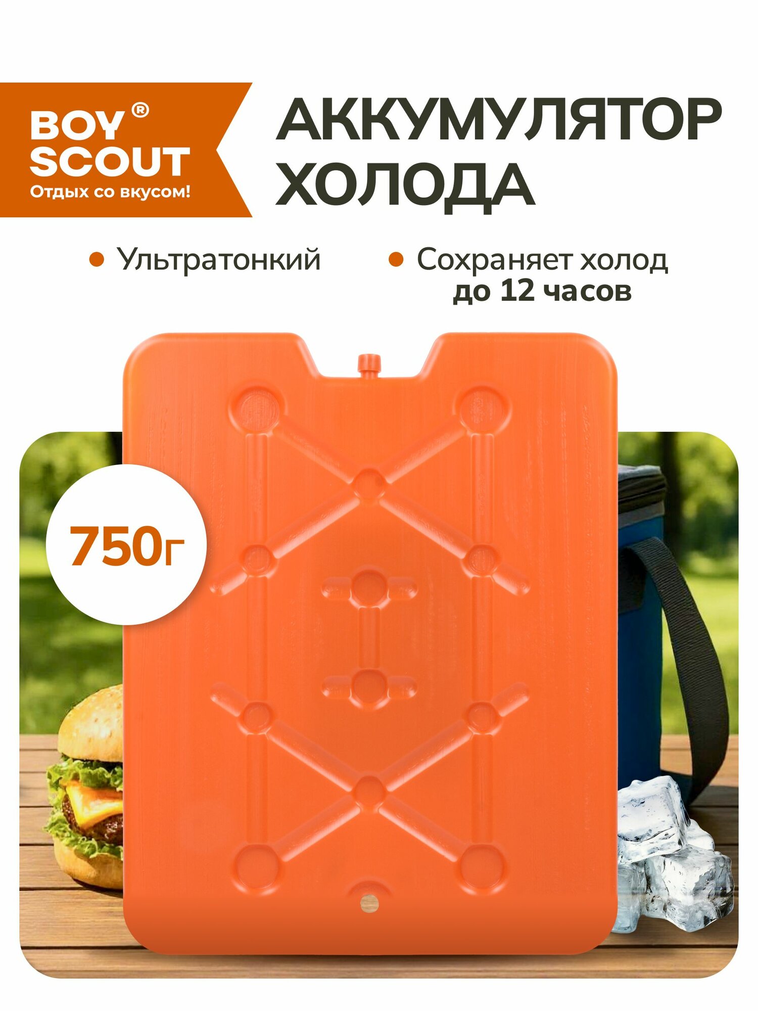 Аккумулятор холода для термосумки ультратонкий, гелевый 31,5х25,5x1,2 см, 750 г, BOYSCOUT