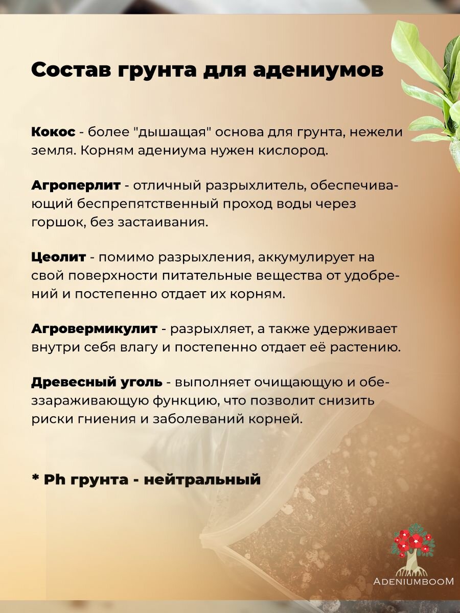 Фирменный грунт для адениума, 2л. /земля для адениума, грунт для суккулентов/AdeniumBoom — фото 1