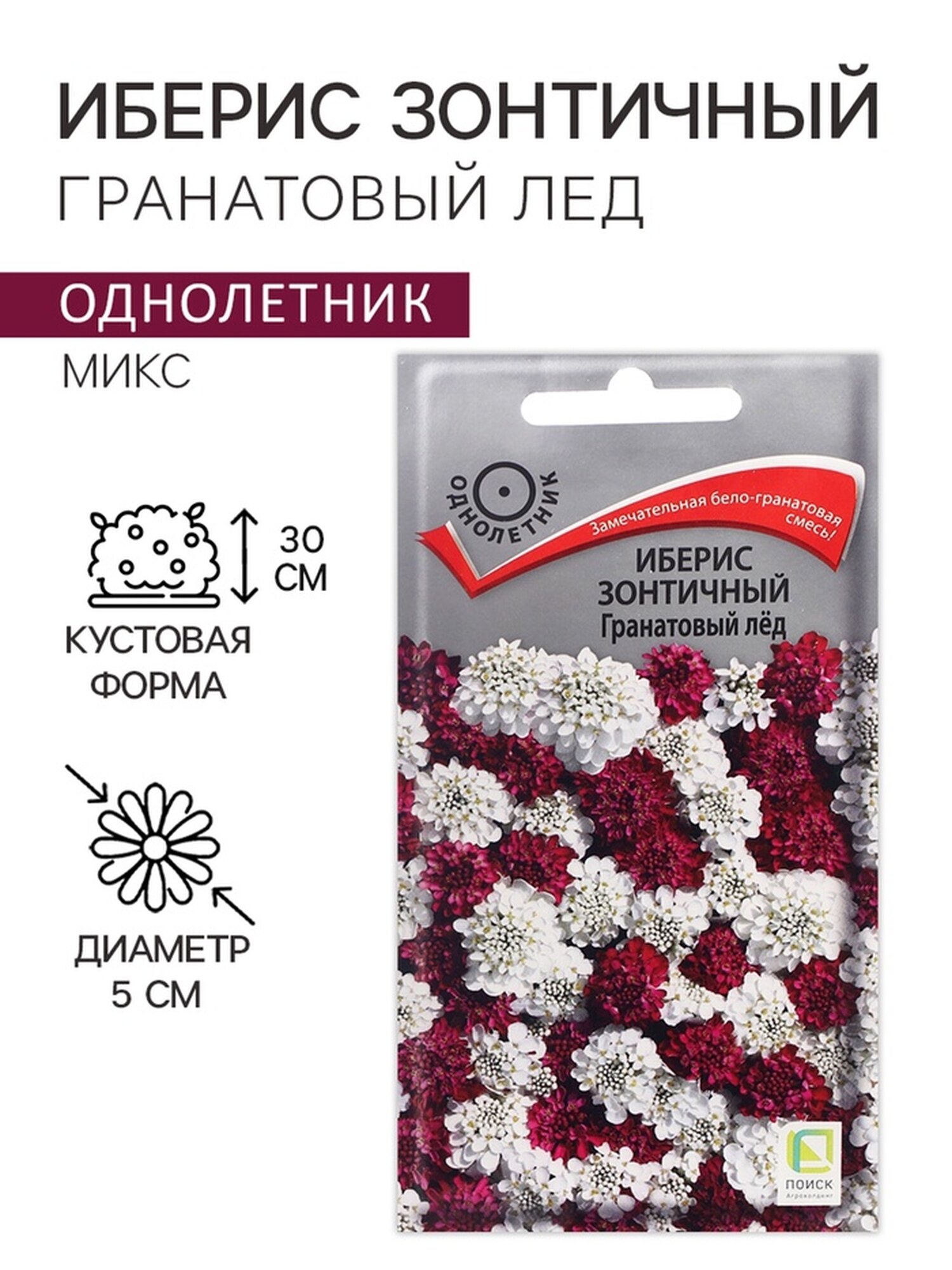 Семена цветов Иберис зонтичный 