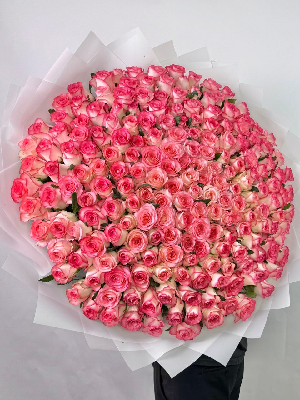 Мега букет из 201 бело-розовой розы "Джумилия" 60 см с доставкой FlowersGo