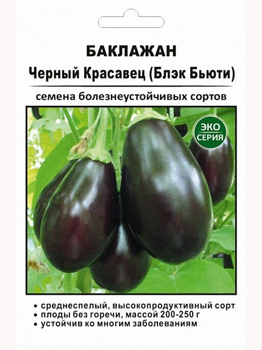 Баклажан Черный Красавец 50 шт (эко-серия)