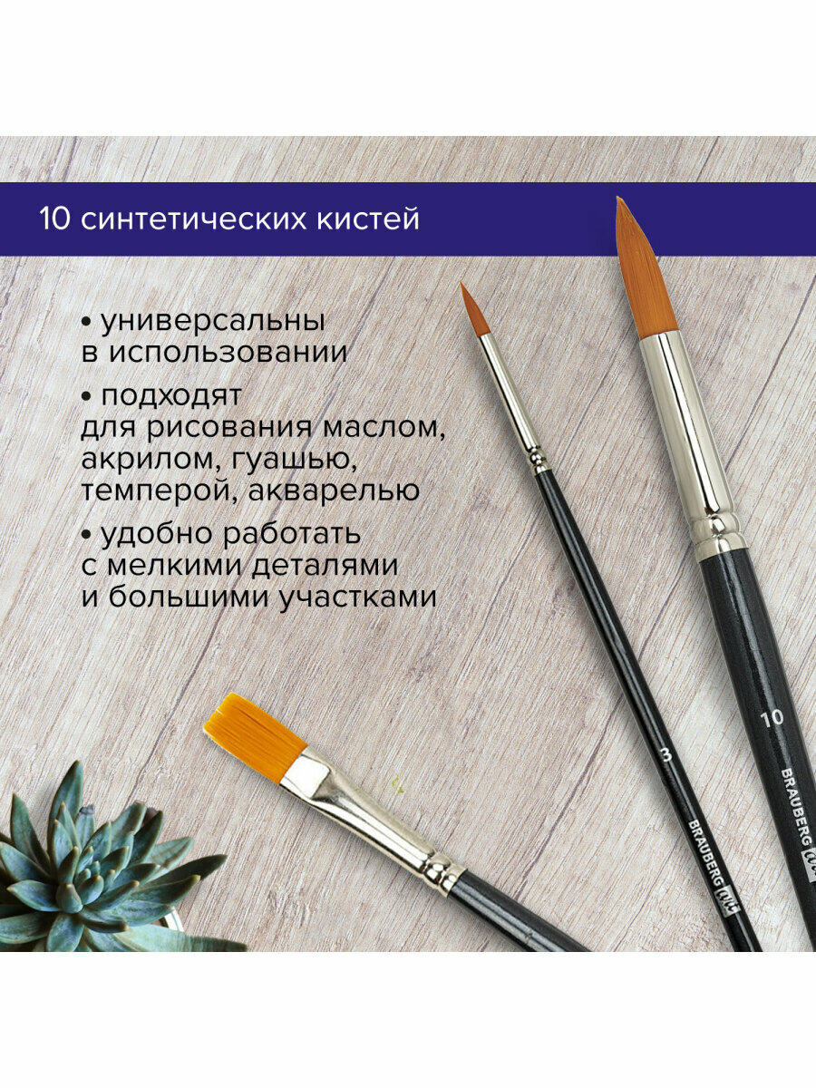 Кисти / кисточки художественные профессиональные синтетические для рисования набор 10 штук Brauberg Art Classic, 200961 — фото 1