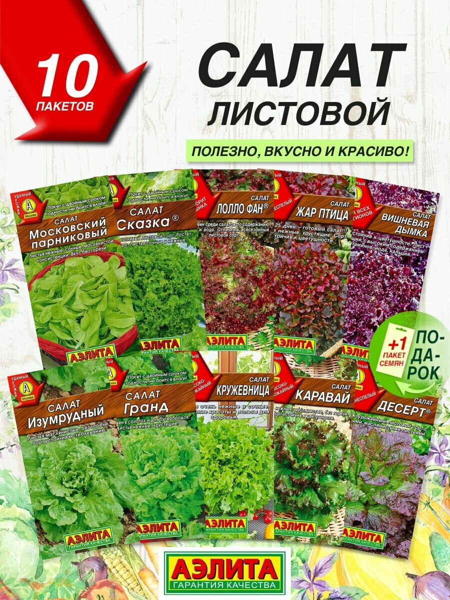 Семена овощей Аэлита Салат листовой 10 сортов   Семена Салата листового