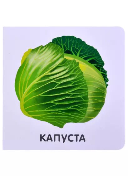 Овощи — фото 1