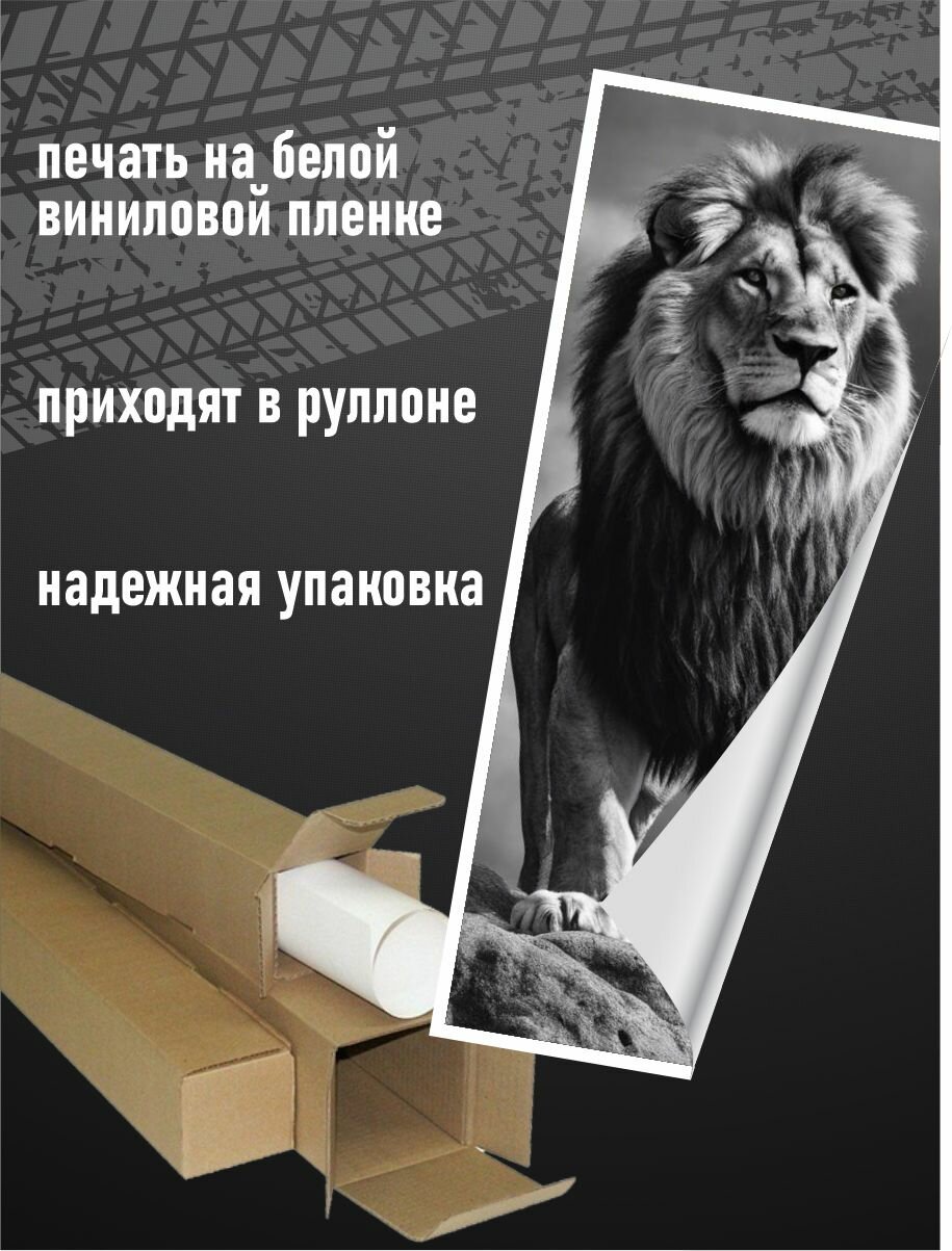 Наклейки на стойки авто - Лев — фото 1
