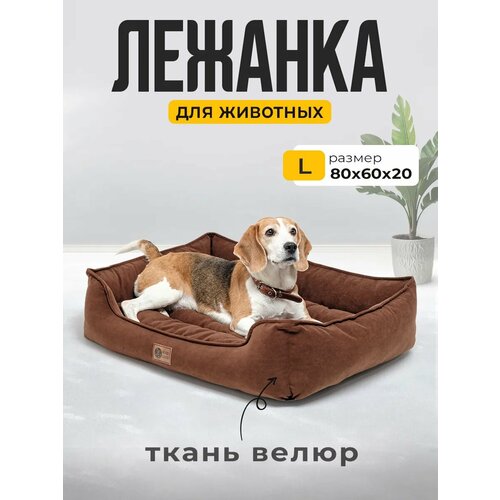 Лежанка для Кошек и Собак Большая с Бортиками и Подушкой