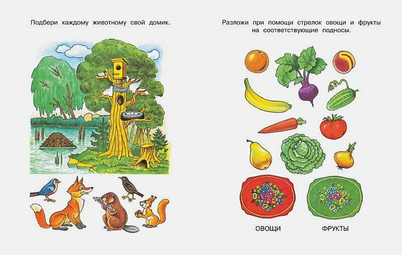 Что нас окружает. Познаем мир — фото 1