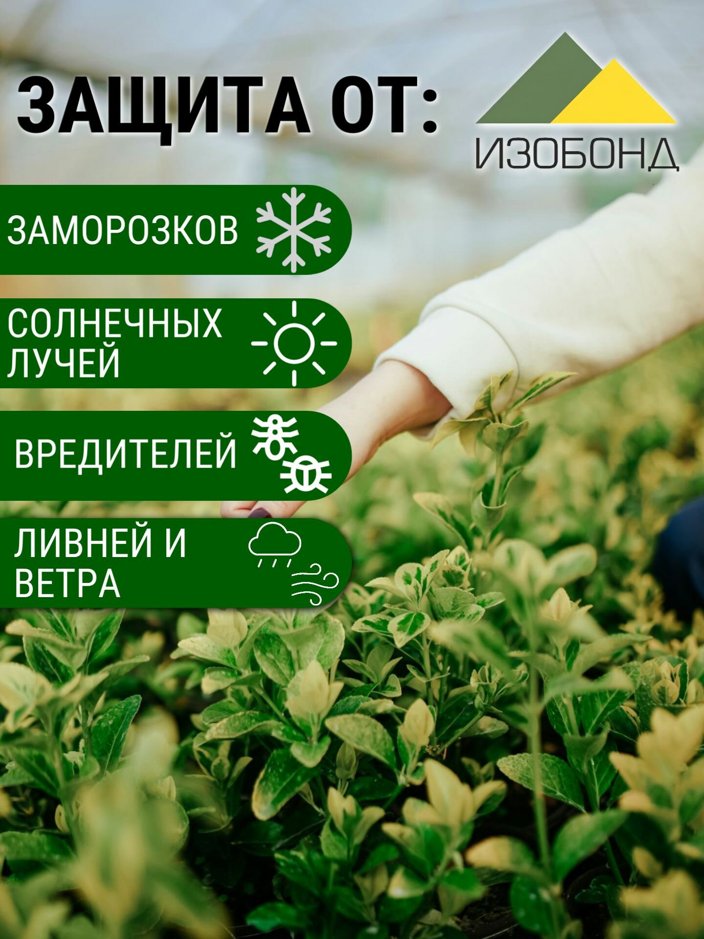 Фольгированная мульча спанбонд 1,6х5 м,60 г/квМ — фото 1