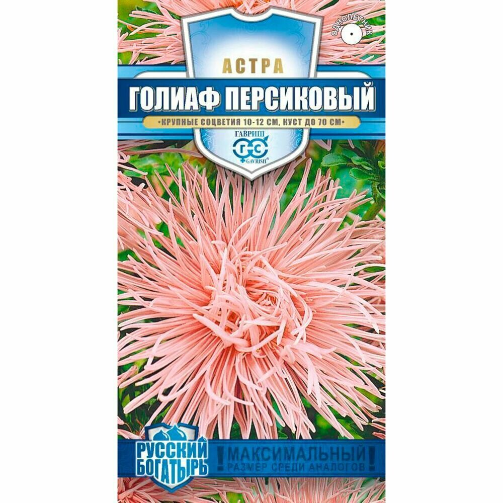 Астра игольчатая Голиаф персиковый 03 г серия Русский богатырь 3 штуки в наборе