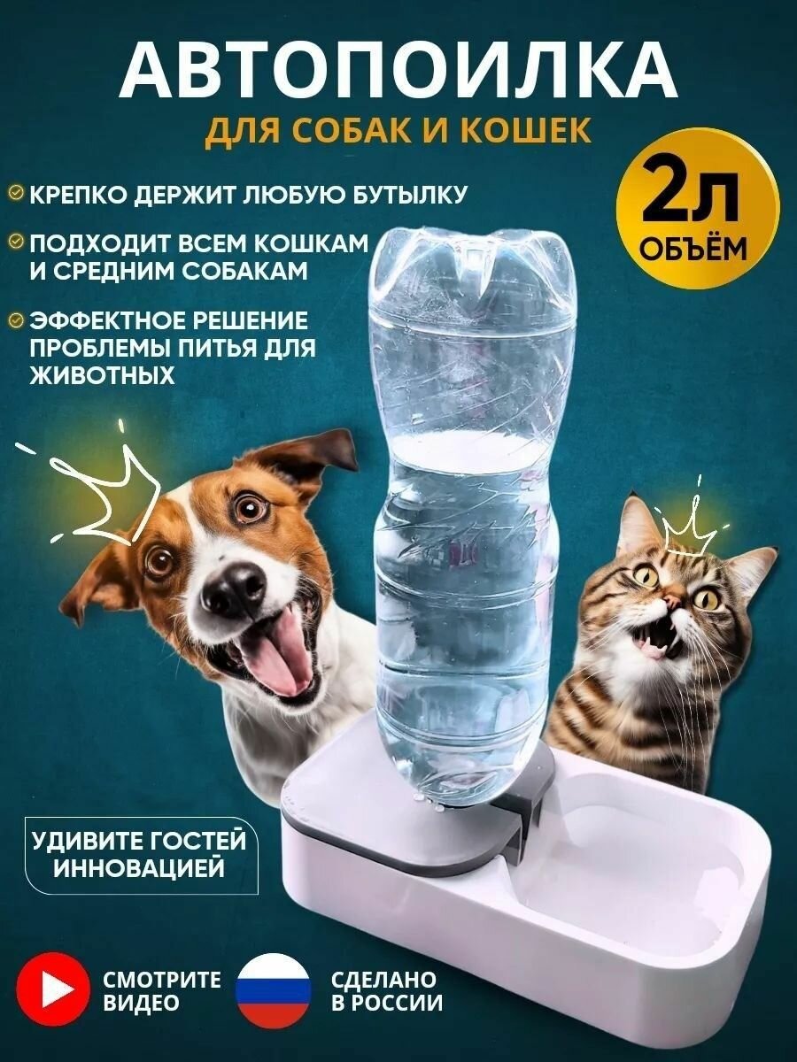 Автокормушка