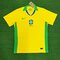 women's football brazil h...