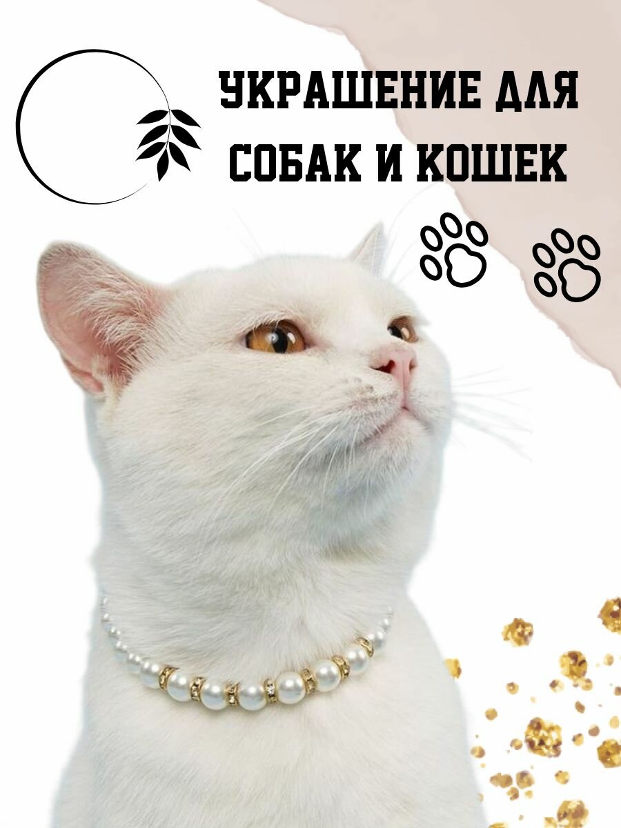 Ошейник для собак и кошек бусы