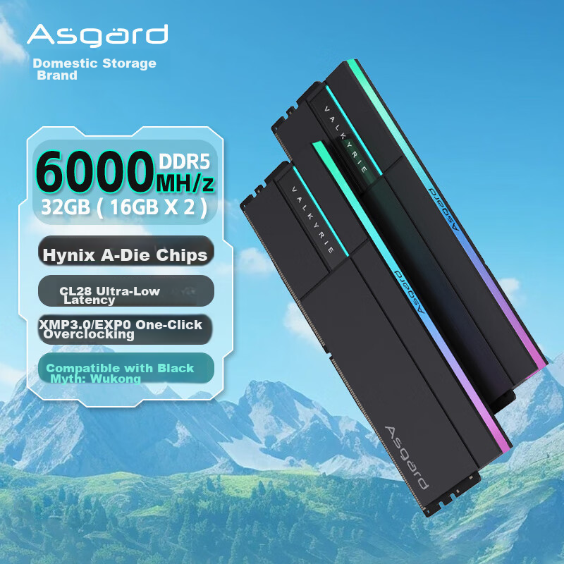 Asgard 32GB (16GBx2) Kit DDR5 6000 Desktop Memory Module