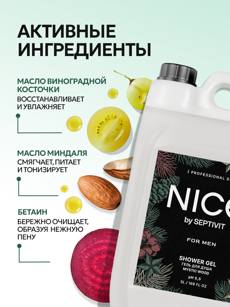 Гели Для Душа Мужские Гель для душа Nice by Septivit, мужской, парфюмированный, канистра, 5 л