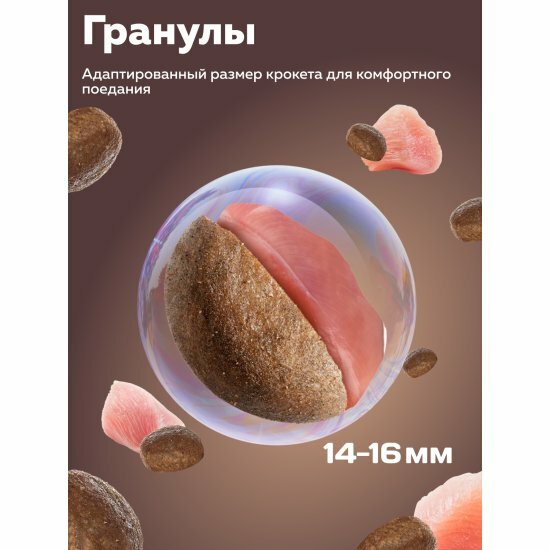 Корм сухой Зоогурман Daily Life, для собак, индейка, супер-премиум, 12кг — фото 1