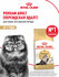 Сухой корм для кошек Royal Canin Adult для персидской породы, 0,4...