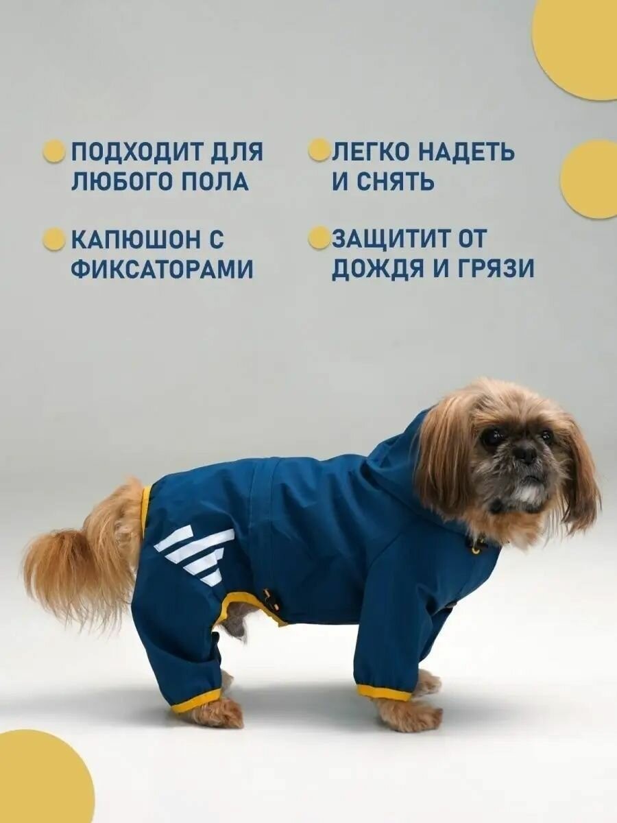Одежда для собак дождевик