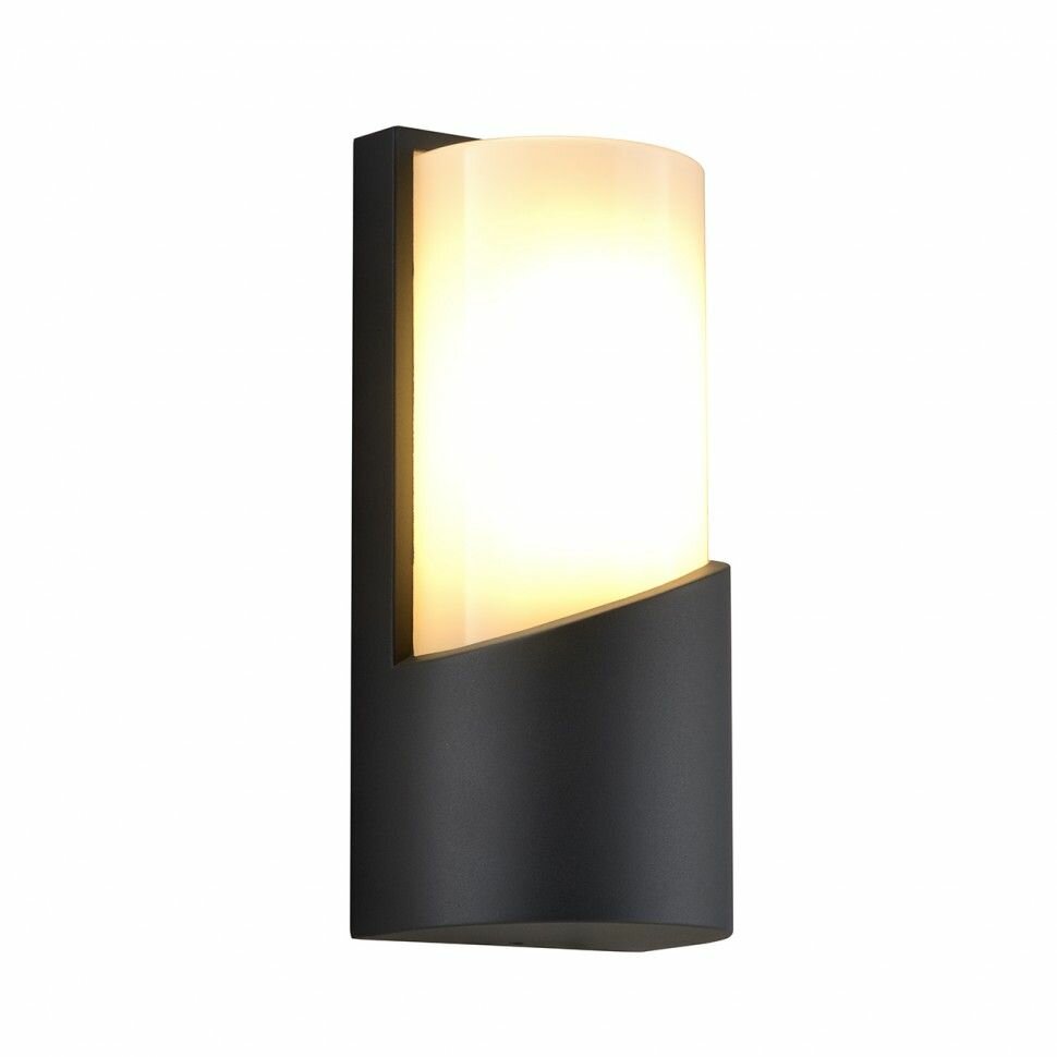 Светильник Escada 30004W/01 E27*40W IP44 Dark grey