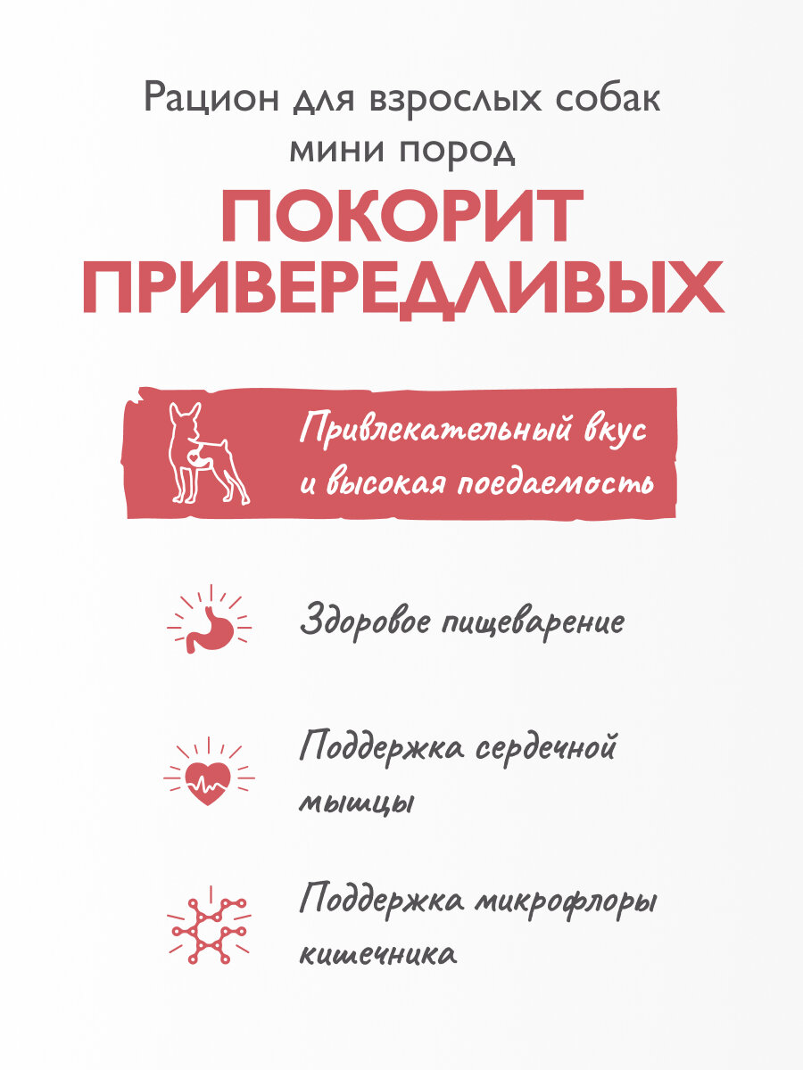 Сухой корм Brit Care Mini для привередливых собак мелких пород, гипоаллергенный с индейкой и уткой 0,4 кг — фото 1