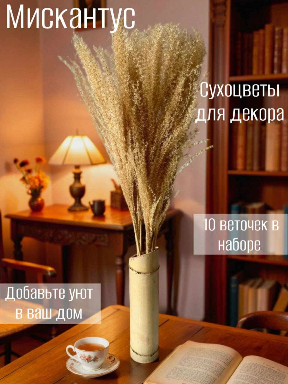 Сухоцвет для декора 