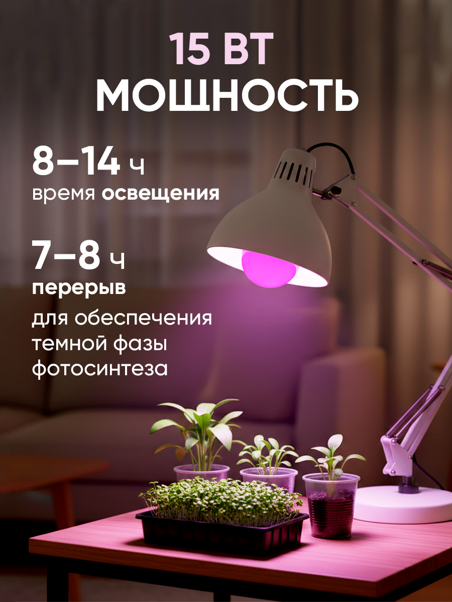 Фитолампа для растений, рассады и комнатных цветов красно-синего спектра 15w Е27 — фото 1