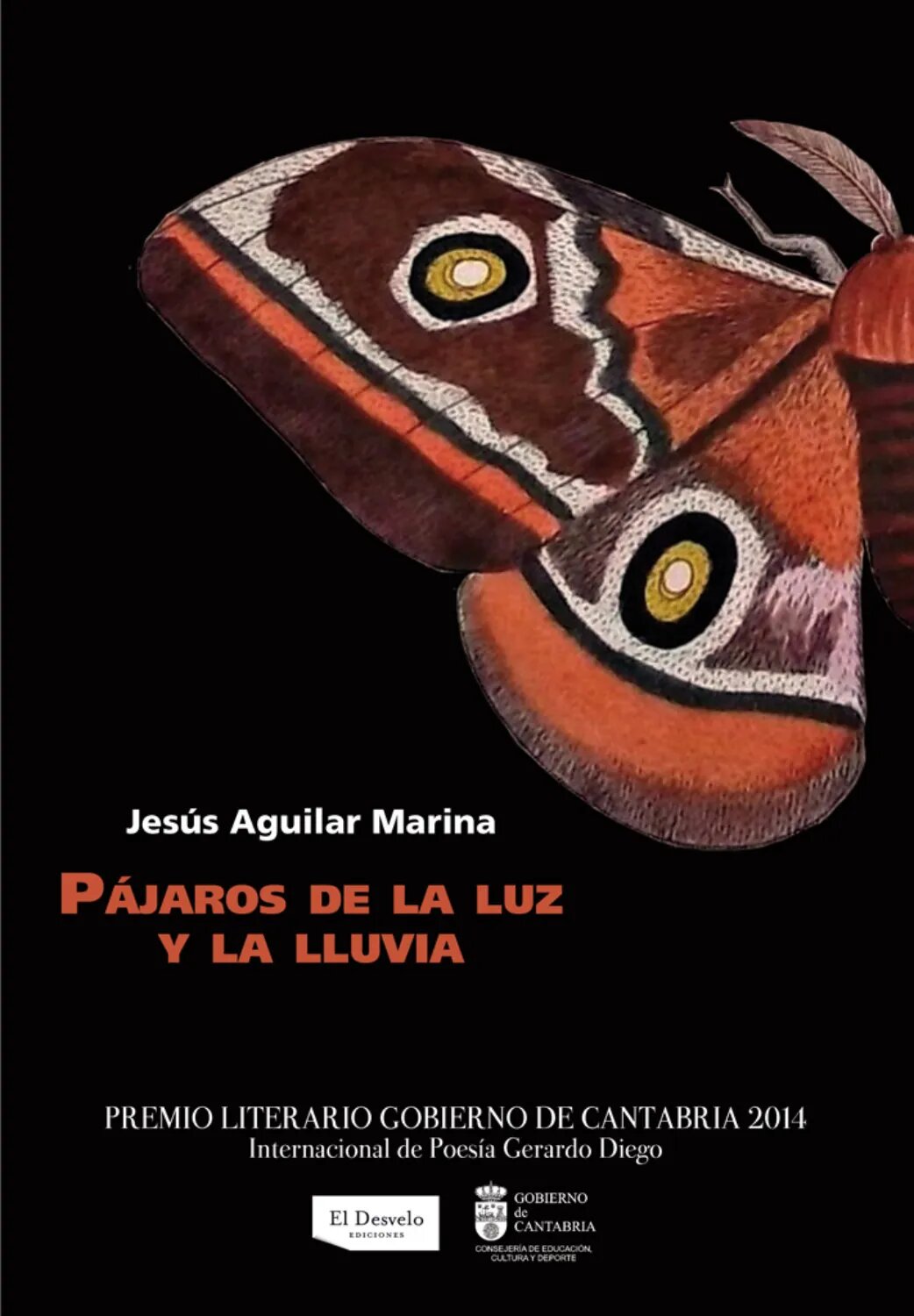 Pájaros de la luz y la lluvia [Цифровая книга]