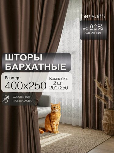 Изображение товара Шторы бархатные 200х250 см 2шт в гостиную спальню