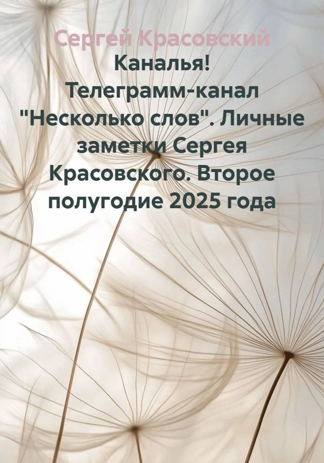 Каналья! Телеграмм-канал "Несколько слов". Личные заметки Сергея Красовского. Второе полугодие 2025 года [Цифровая книга]